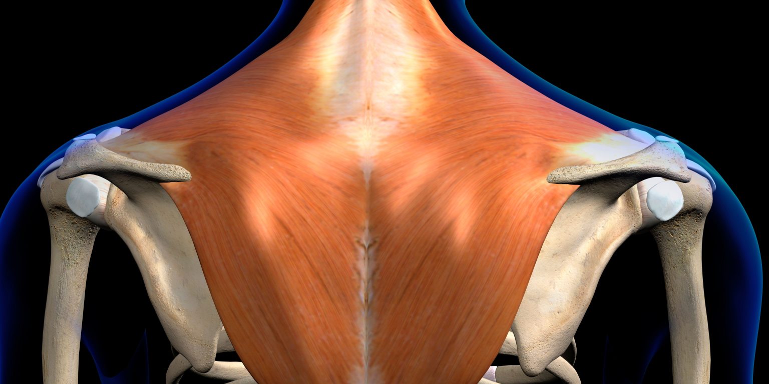 Trapezius Reduction / Shoulder Slimming with Botox / Dysport Scinn